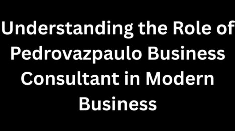 Role of Pedrovazpaulo Business Consultant in Modern Business